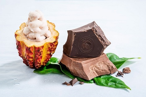 Barry Callebaut predstavlja akcijski načrt: »Osredotočenost na rast«