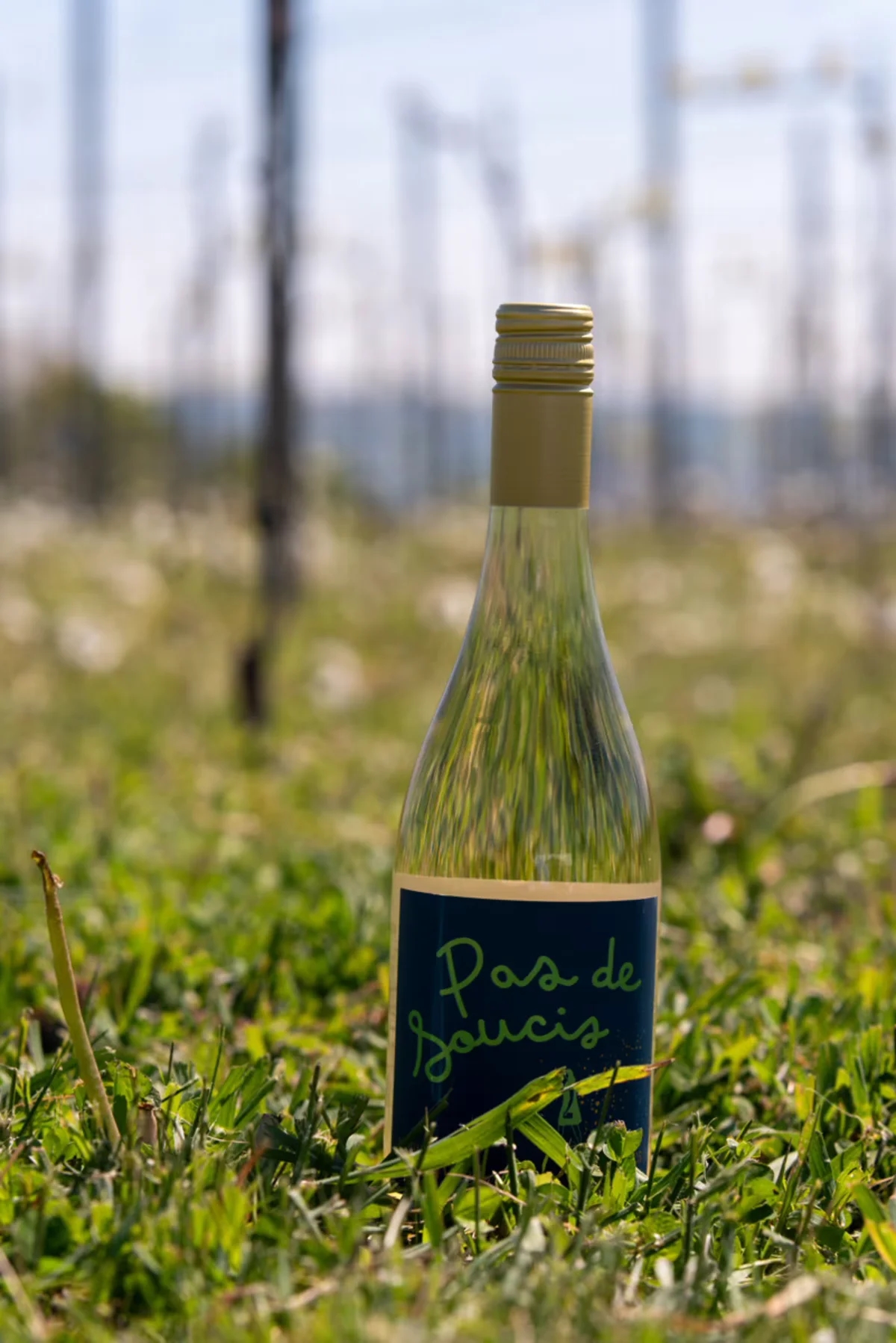 Belgija: Colruyt lansiral lastno vino