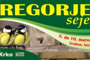 Od danes do nedelje 25. Gregorjev sejem v Novem mestu