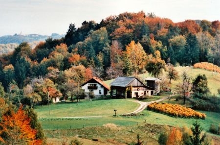Za evropski izbor osem podeželskih projektov