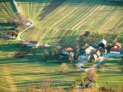Kmetom za odpravo škode po lanski pozebi 4,45 milijona evrov pomoči