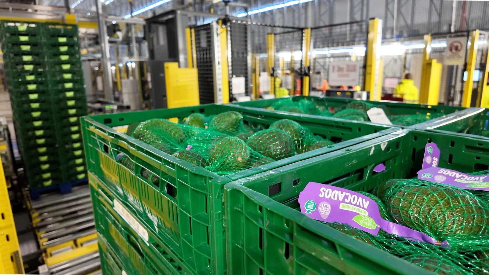 VB: Aldi začel distribucijo svežega sadja in zelenjave iz največjega avtomatiziranega skladišča (VIDEO)