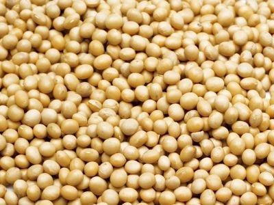 EU odobrila uvoz ameriške soje za biogorivo