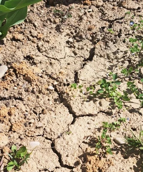 V določenih delih države še naprej zelo sušne razmere