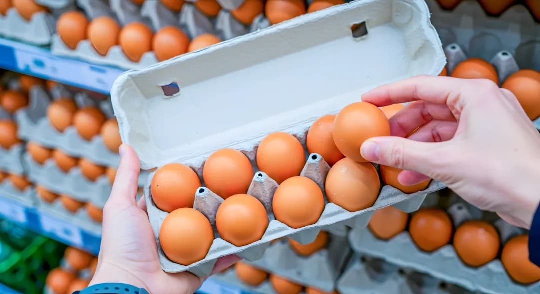 Francija: Auchan ne bo več prodajal jajc iz baterijske reje s Poljske