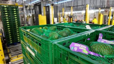 VB: Aldi začel distribucijo svežega sadja in zelenjave iz največjega avtomatiziranega skladišča (VIDEO)