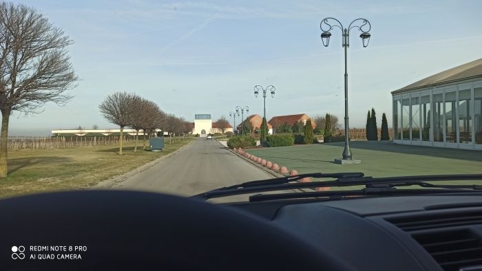 Požar na posestvu Vukovo posledica zažiga "neonke"? (VIDEO IN FOTOREPORTAŽA)