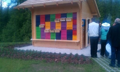 Vlada čebelarjem na pomoč z dvema milijonoma evrov
