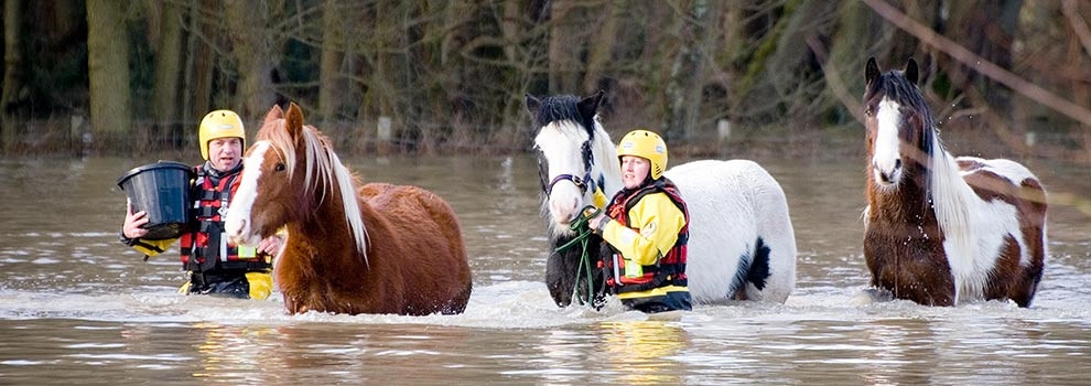 Veterinarska uprava z napotki za ravnanje z živalmi ob poplavah