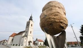 Odkupna cena krompirja približno za polovico nižja